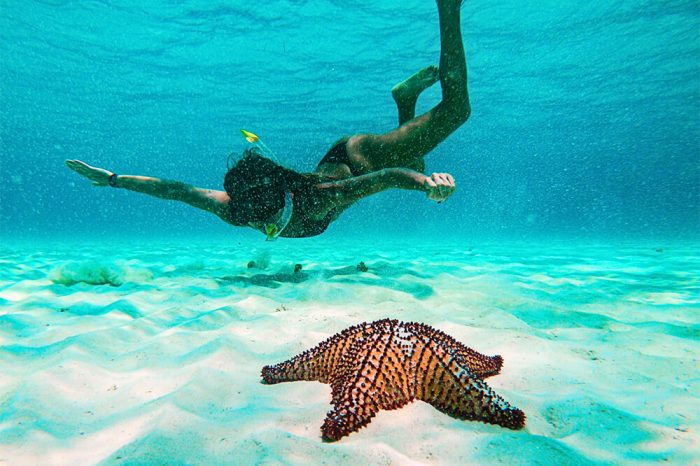 El Cielo Cozumel Snorkel Tour + 3 Arrecifes + Bebidas + Botanas $650 Pesos